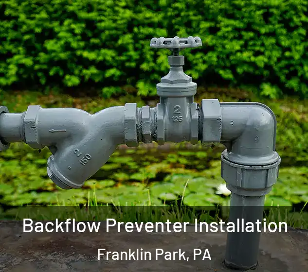  Backflow Preventer Installation Franklin Park, PA