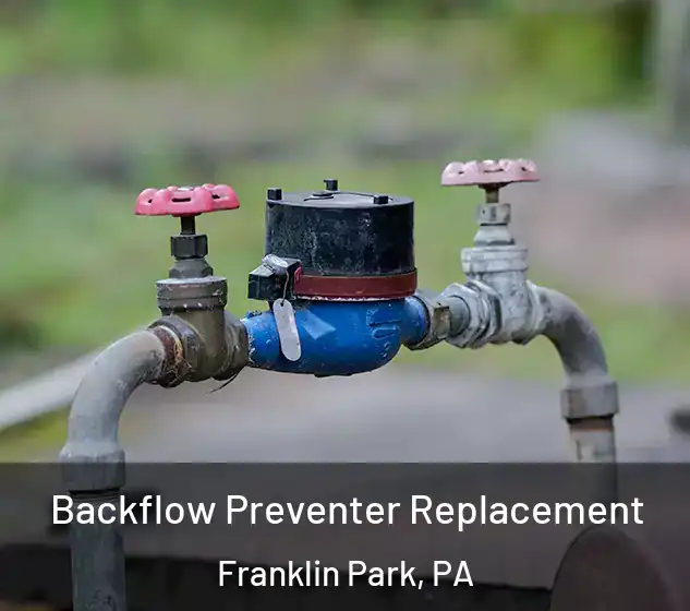  Backflow Preventer Replacement Franklin Park, PA