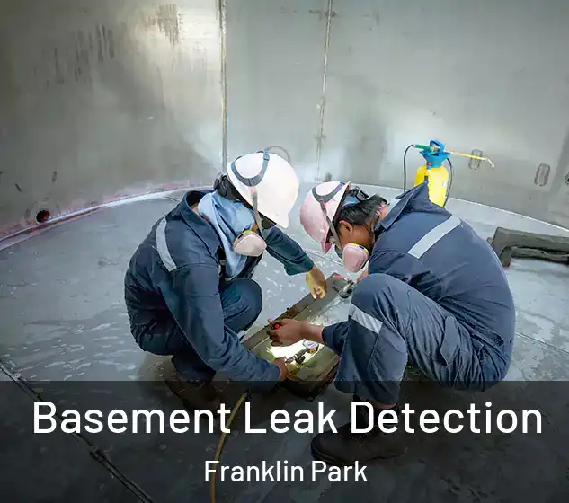  Basement Leak Detection Franklin Park