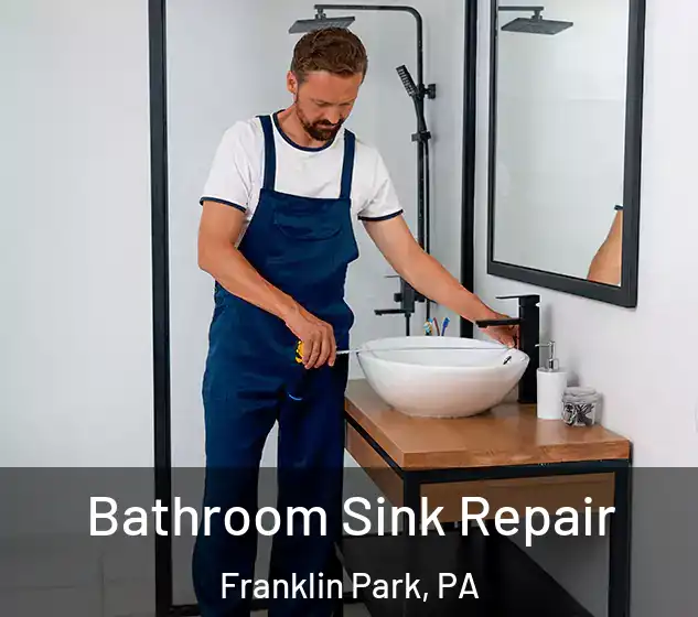  Bathroom Sink Repair Franklin Park, PA