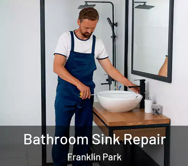  Bathroom Sink Repair Franklin Park