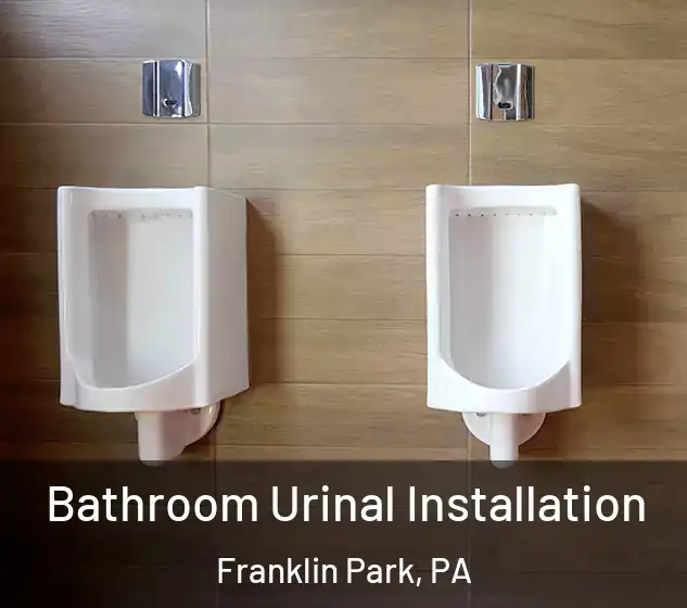  Bathroom Urinal Installation Franklin Park, PA
