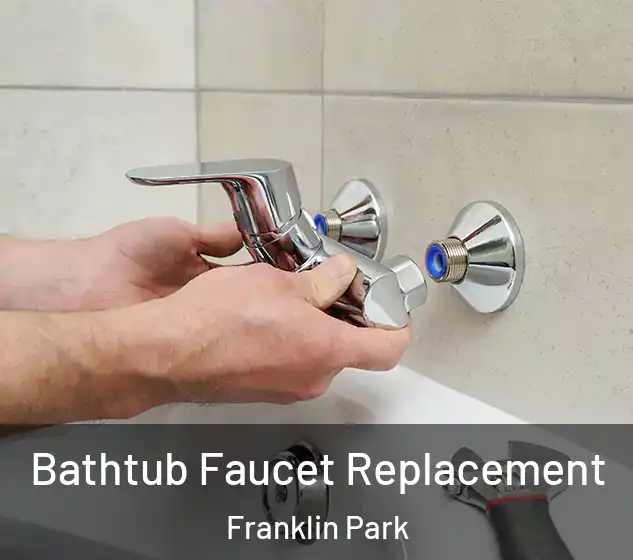  Bathtub Faucet Replacement Franklin Park