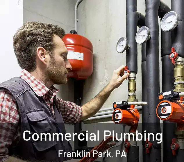  Commercial Plumbing Franklin Park, PA