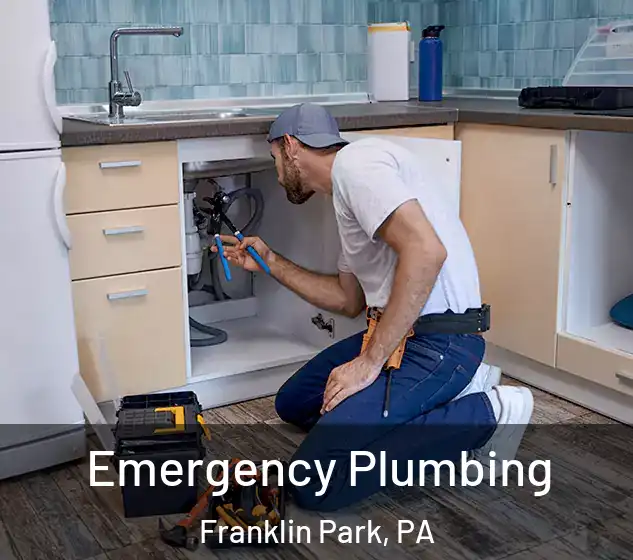  Emergency Plumbing Franklin Park, PA