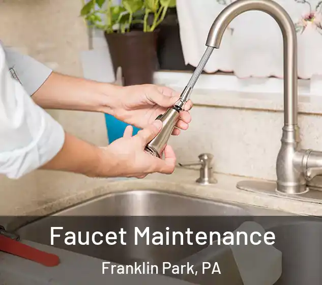  Faucet Maintenance Franklin Park, PA