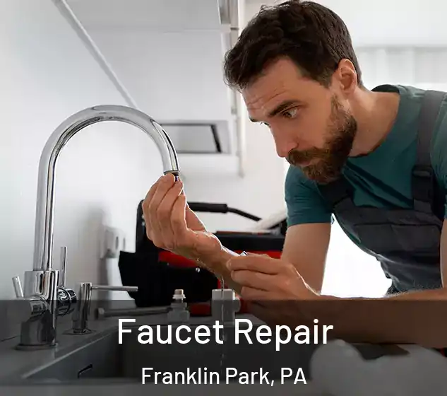  Faucet Repair Franklin Park, PA