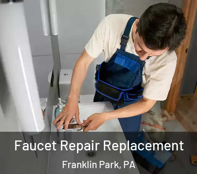  Faucet Repair Replacement Franklin Park, PA