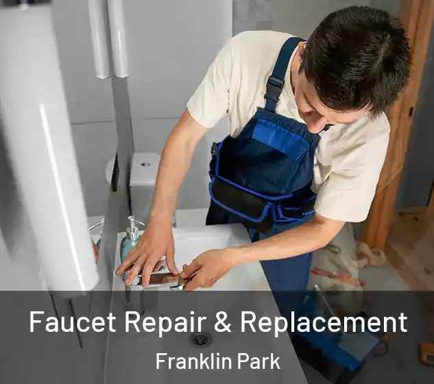  Faucet Repair & Replacement Franklin Park