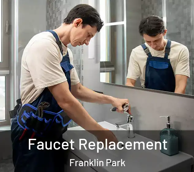  Faucet Replacement Franklin Park