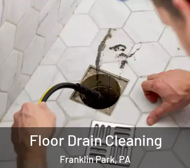  Floor Drain Cleaning Franklin Park, PA