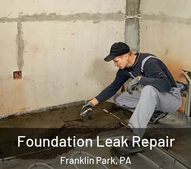  Foundation Leak Repair Franklin Park, PA