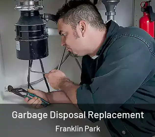  Garbage Disposal Replacement Franklin Park