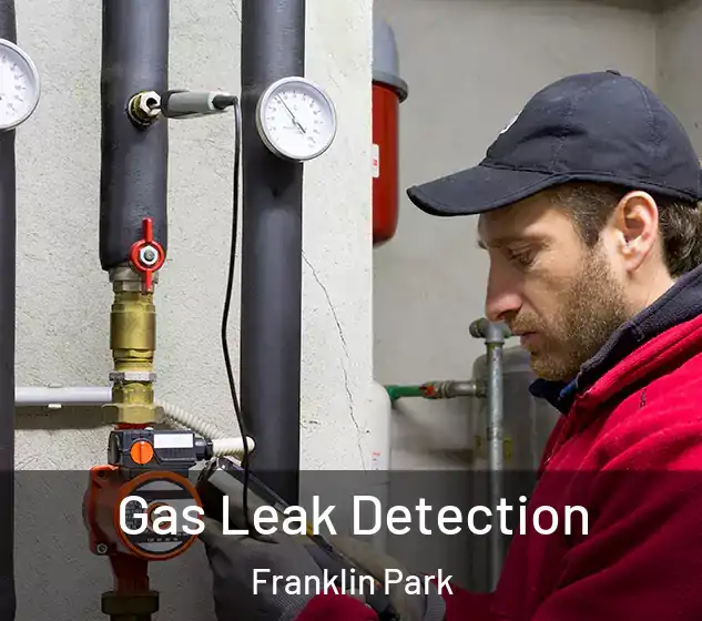  Gas Leak Detection Franklin Park