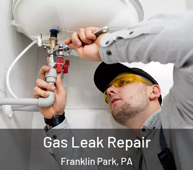  Gas Leak Repair Franklin Park, PA