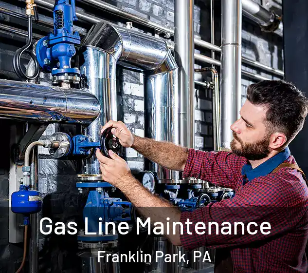  Gas Line Maintenance Franklin Park, PA