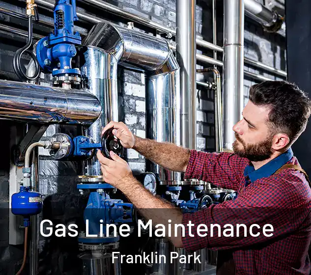  Gas Line Maintenance Franklin Park
