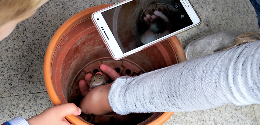 Scope of Drain Camera Inspection Services in Franklin Park, PA