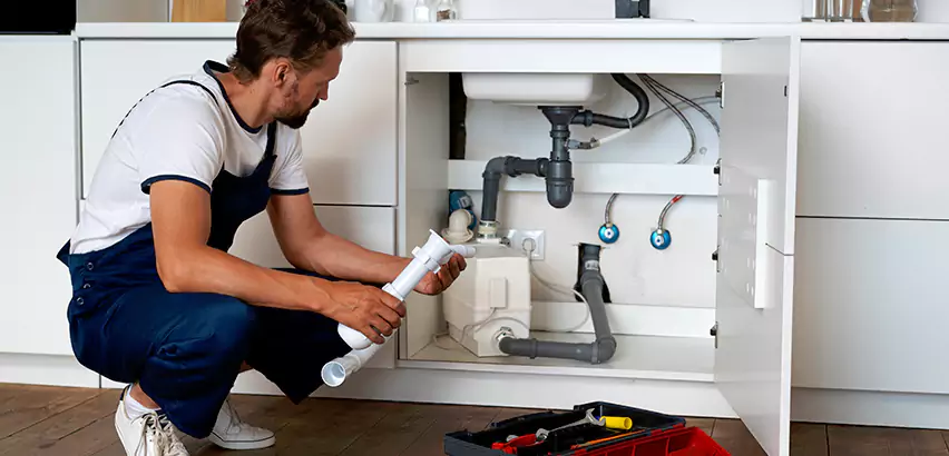 Scope of Kitchen Garbage Disposal Replacement Services in Franklin Park, PA