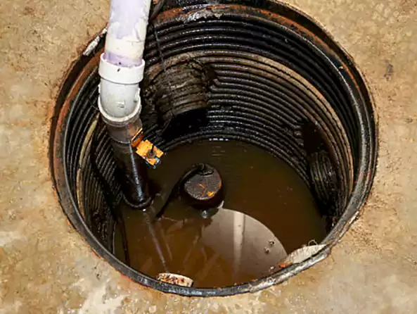 Why Franklin Park Plumbing is the First Choice for Sump Pump Maintenance Services in Franklin Park, PA?