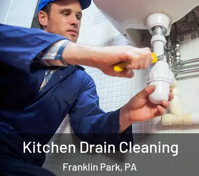  Kitchen Drain Cleaning Franklin Park, PA