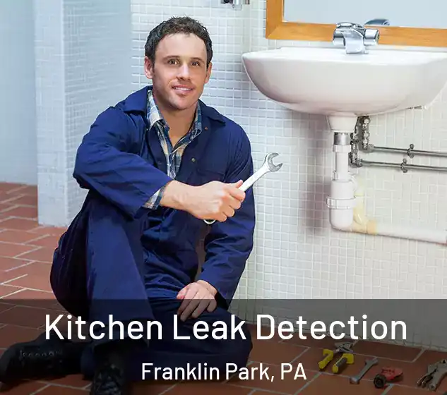  Kitchen Leak Detection Franklin Park, PA