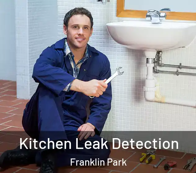  Kitchen Leak Detection Franklin Park