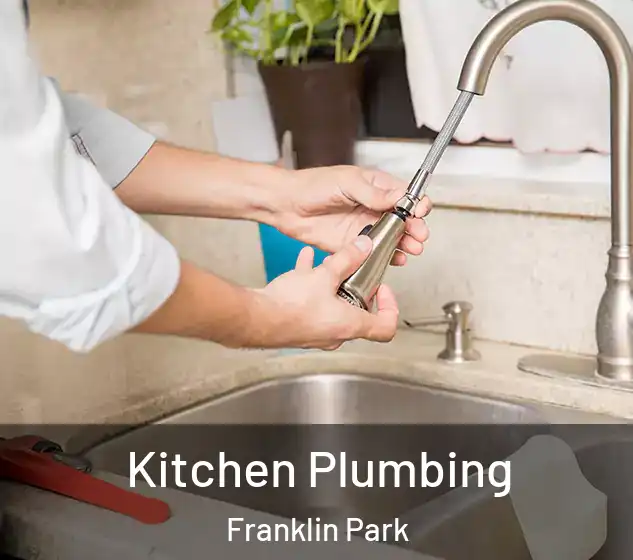  Kitchen Plumbing Franklin Park