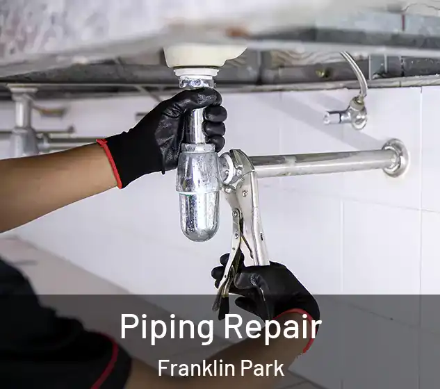  Piping Repair Franklin Park