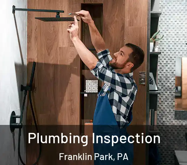  Plumbing Inspection Franklin Park, PA