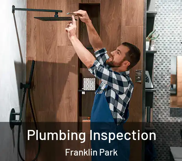  Plumbing Inspection Franklin Park