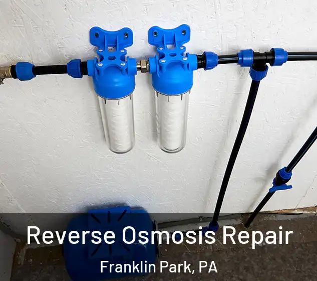  Reverse Osmosis Repair Franklin Park, PA