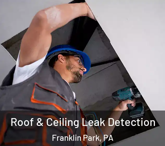  Roof & Ceiling Leak Detection Franklin Park, PA