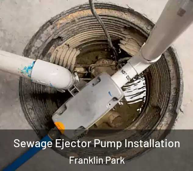  Sewage Ejector Pump Installation Franklin Park