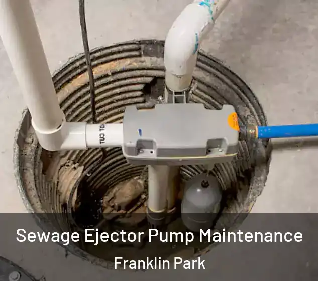  Sewage Ejector Pump Maintenance Franklin Park
