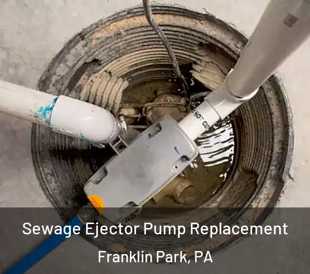 Sewage Ejector Pump Replacement Franklin Park, PA