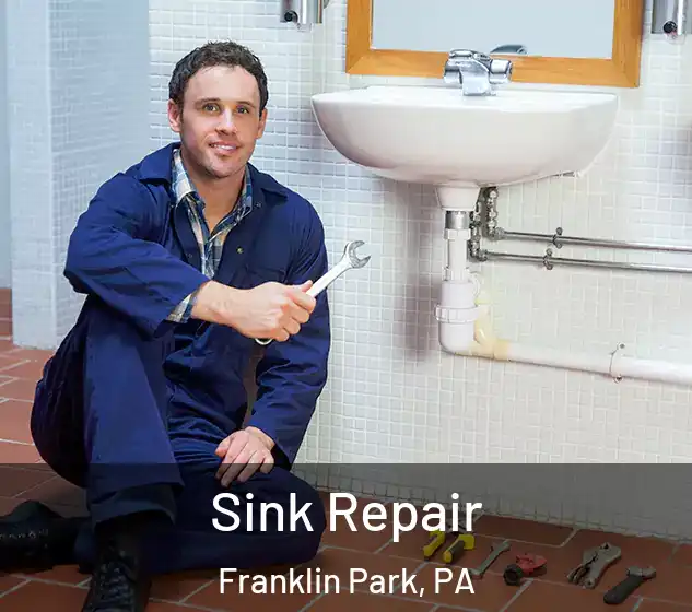  Sink Repair Franklin Park, PA