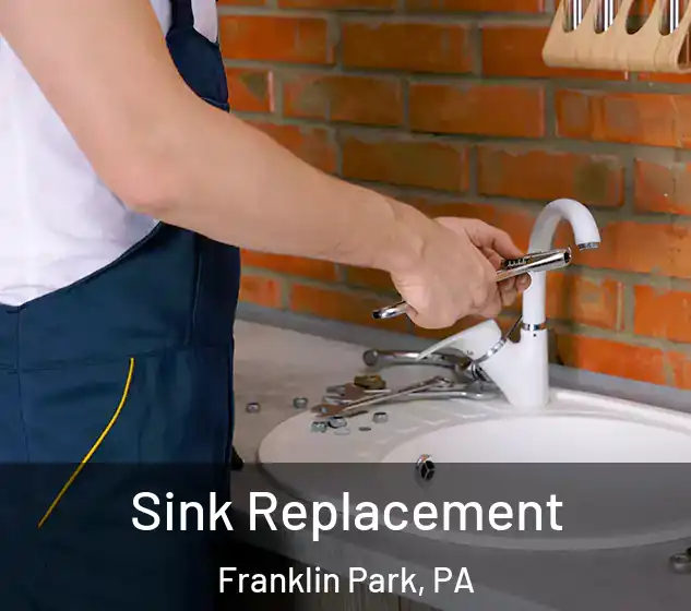  Sink Replacement Franklin Park, PA