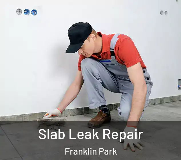  Slab Leak Repair Franklin Park