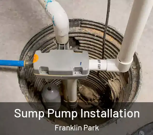  Sump Pump Installation Franklin Park