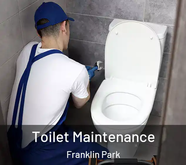  Toilet Maintenance Franklin Park