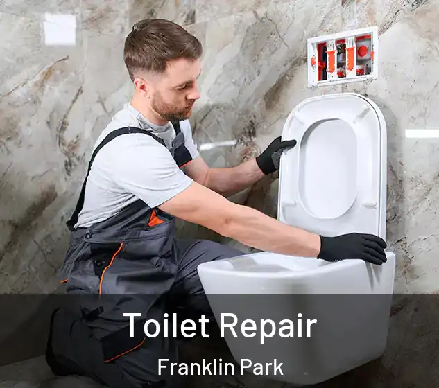 Toilet Repair Franklin Park