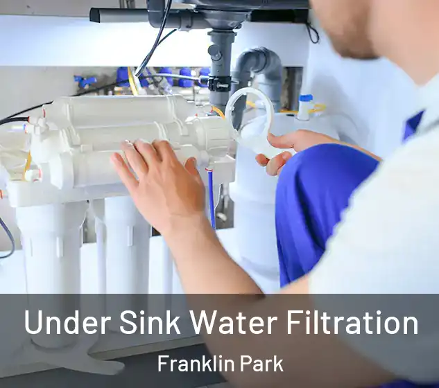  Under Sink Water Filtration Franklin Park