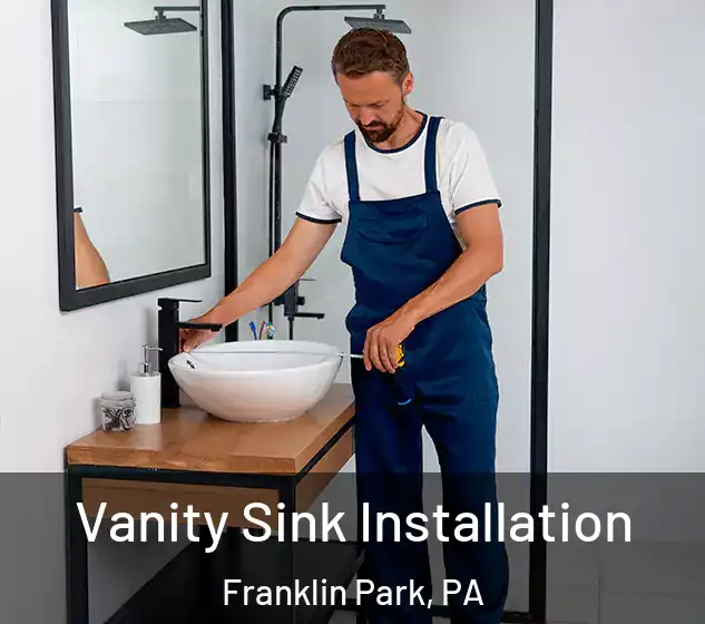  Vanity Sink Installation Franklin Park, PA
