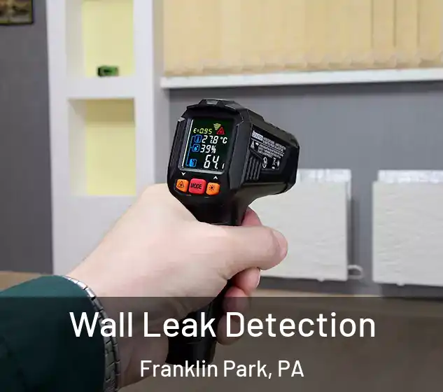  Wall Leak Detection Franklin Park, PA