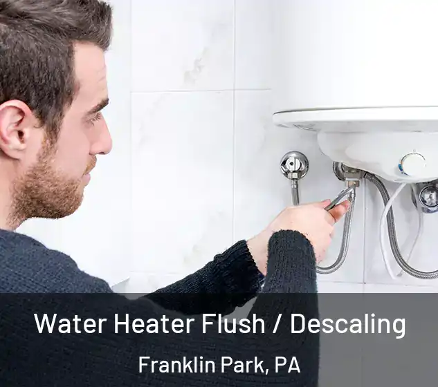  Water Heater Flush / Descaling Franklin Park, PA
