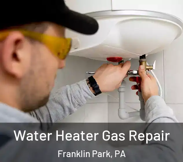  Water Heater Gas Repair Franklin Park, PA