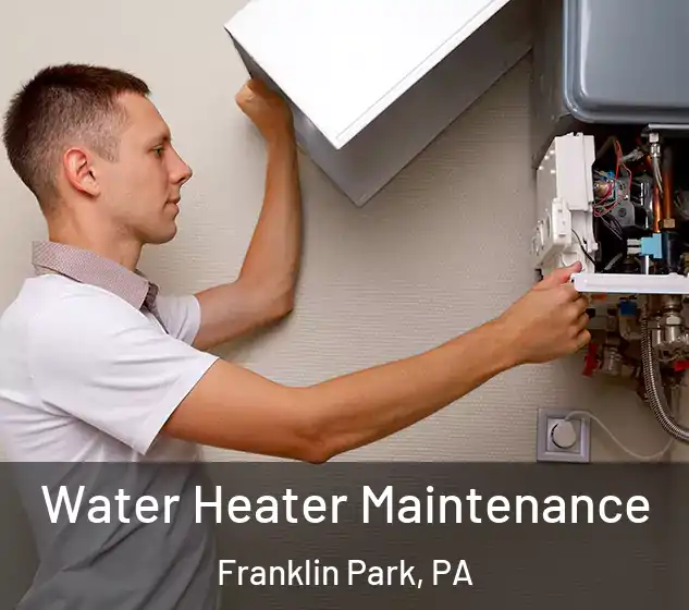  Water Heater Maintenance Franklin Park, PA