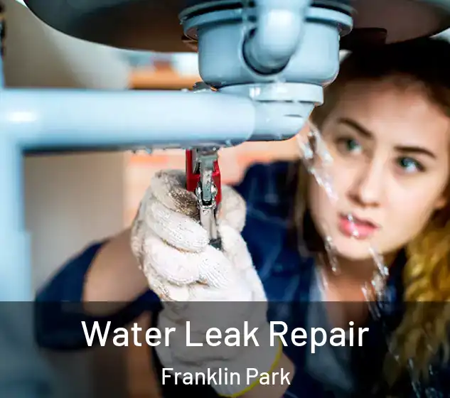  Water Leak Repair Franklin Park