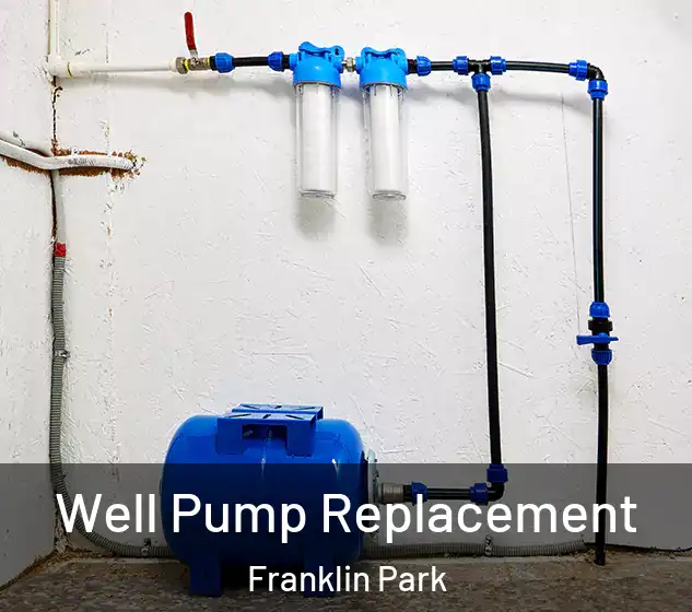  Well Pump Replacement Franklin Park